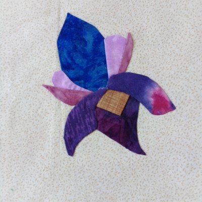 I comme Iris - Micheline Bigand