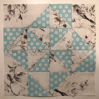 Shannon Perkins 2/20