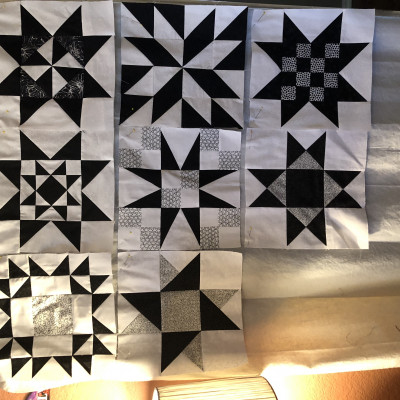 Eva Jones-Brewster BOM progress