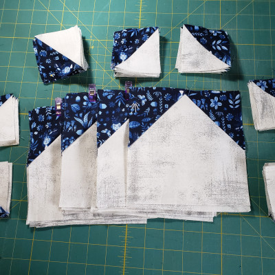 Houses and bonus squares done. I cannot wait for next month!!