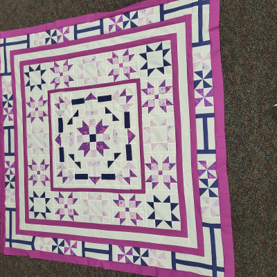 Debi's 2024 Malted Mystery Quilt top