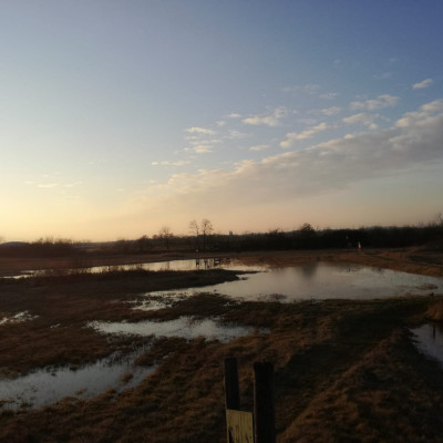 Glaubersalzsteppe in Zwingendorf