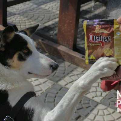 Amora loves to train for rewards