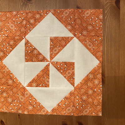 Sally D - March for Orange!!