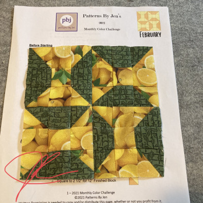 Jenny Wren Ross - Lemon February