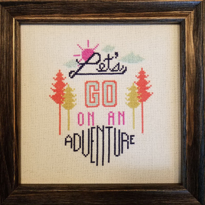 Cross Stitch Project (2 years old)