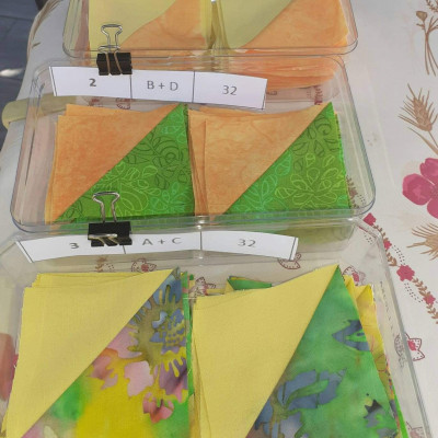 Les 3 premiers blocs, Geneviève Jacquier