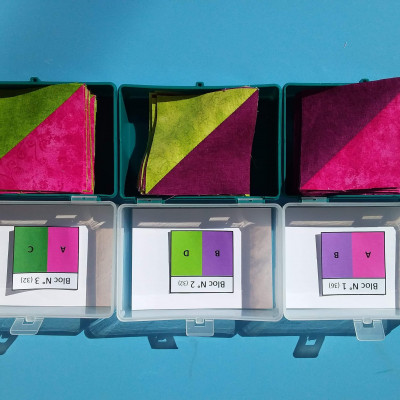 Blocs 1 à 3, Suzy Bignau