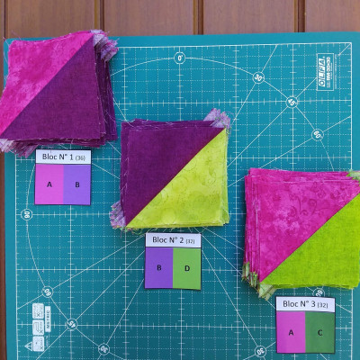 J'ai choisi des couleurs flashies pour donner du peps à la vie ! Suzy Bignau