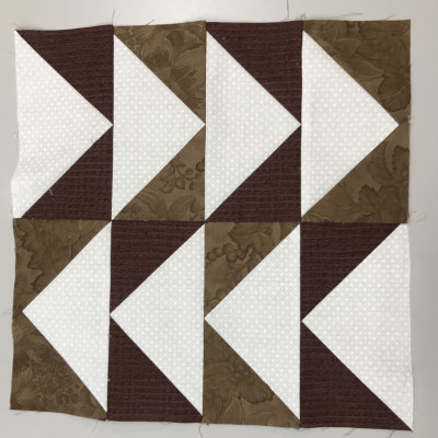 Cinnamon Teal...Barb M