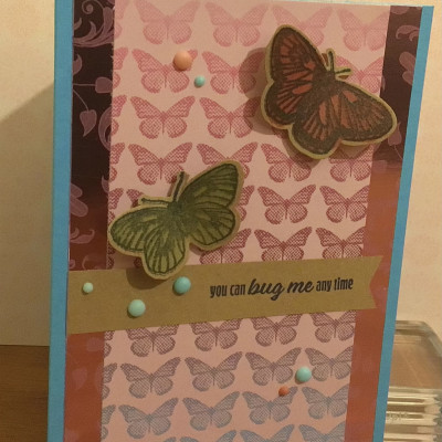 Pink and blue butterflies