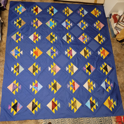 Lisa W. - More Fishies