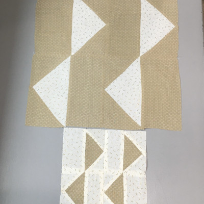 Robyn’s August mushrooms