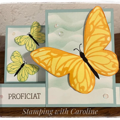 Caroline Van Den Neste