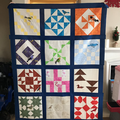 Robin Siler   Bird Version