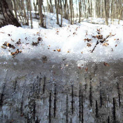 И понятно станет вдруг, Что пришла пора для каши