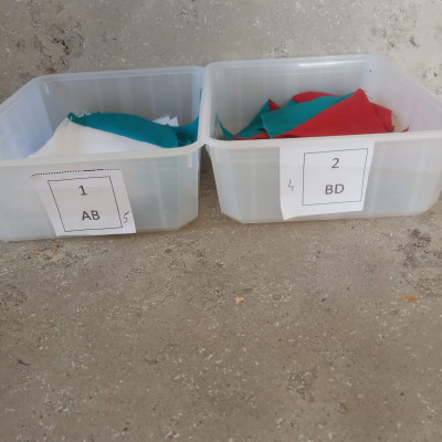 AB et BD, Hadeline Gé Jacob