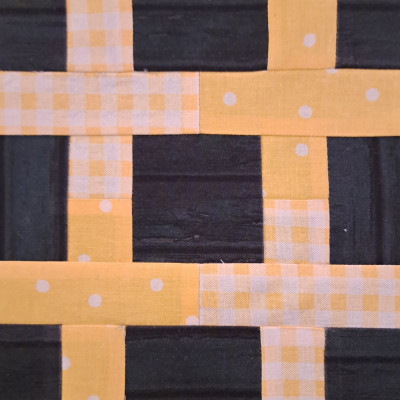 Tula Pink Modern Blocks (Teresa from WV) -- I named it Country Roads.