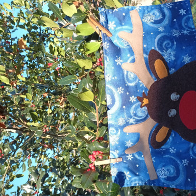 Rudy, petit renne au nez rouge, Marie-Francoise de Lille