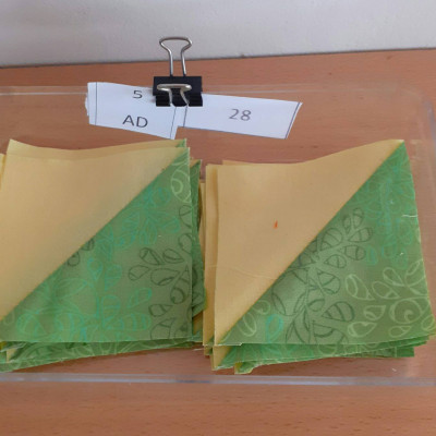 Bloc 5. Geneviève Jacquier