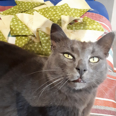 Martin vous présente le bloc 5 !!! Christine Eclaron (52)