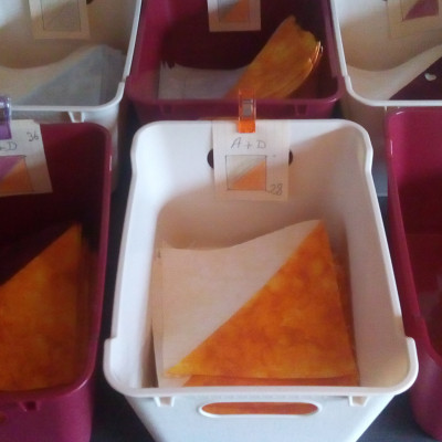 Blocs 5 del'étape7 de Marthe