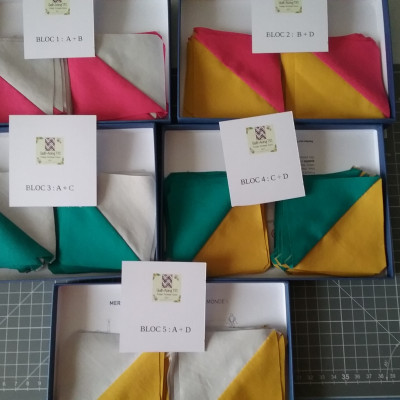 Bloc 5 . Vivement le montage ... Daisy Pichon