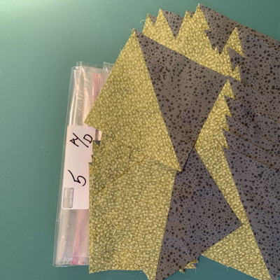 Block #5 A/D - Debra